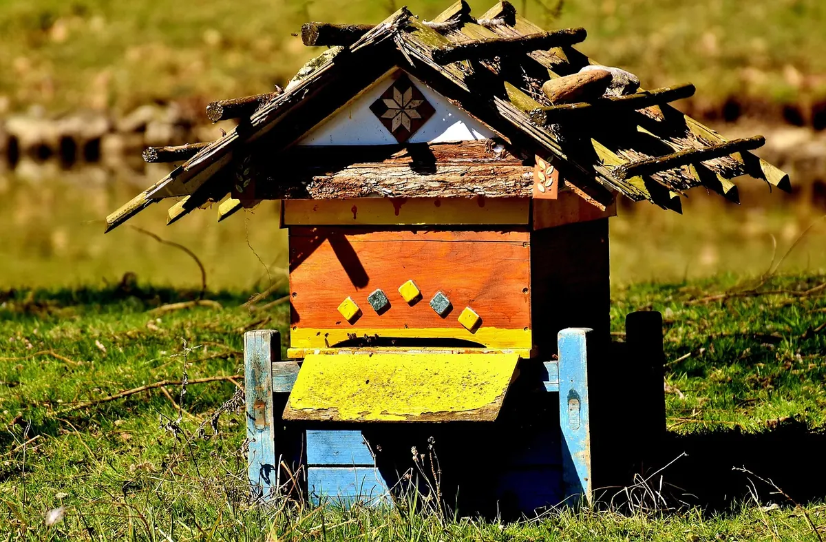 A Beginner's Guide to Setting Up an Apiary in a British Garden