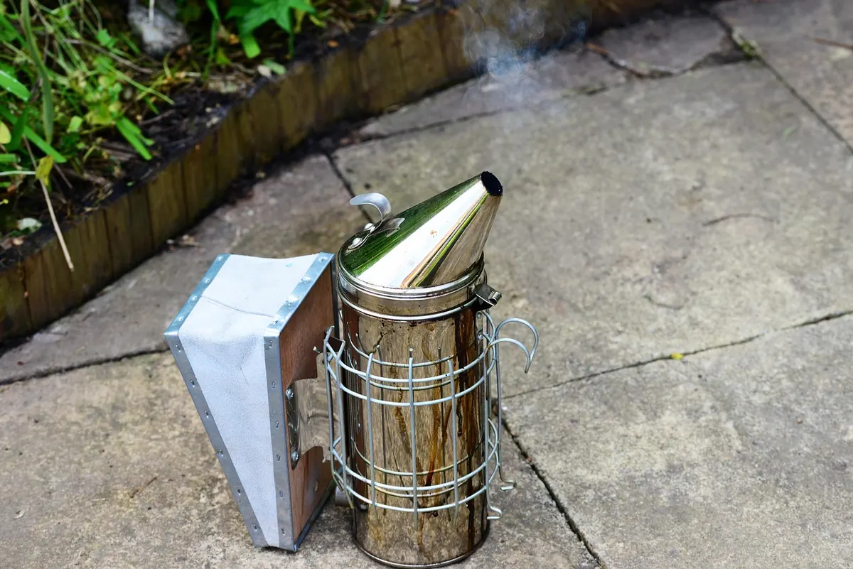 Common Beginner Beekeeping Mistakes in the UK and How to Avoid Them